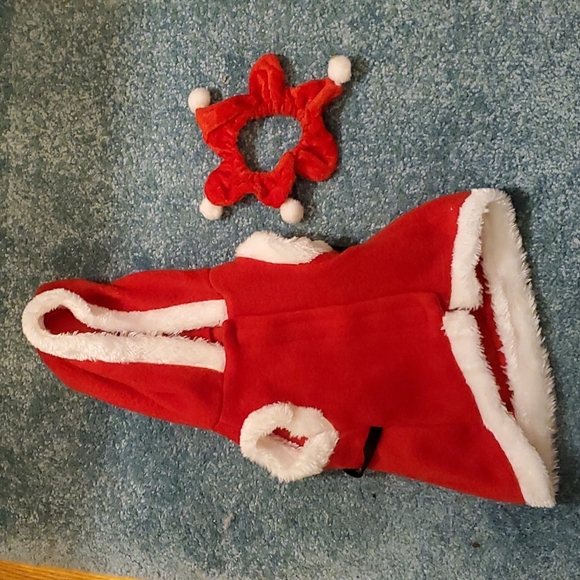 Santa Cat (and Small Dog) Suit and Coller - Picture 1 of 3